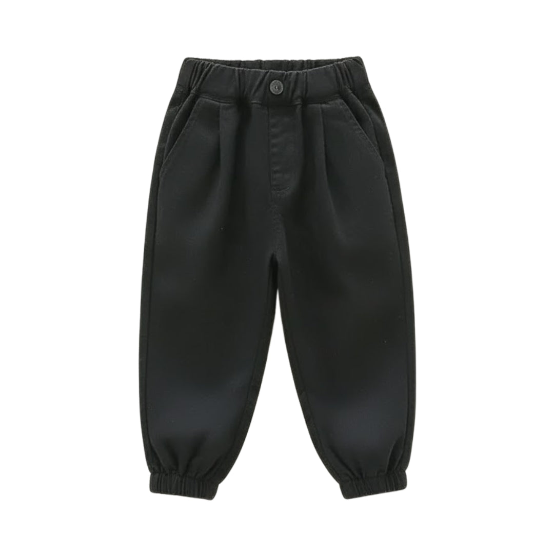 Brixton Pants